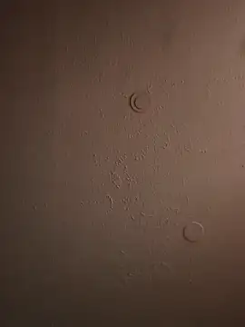 geilerschwanz64 online show from March 20, 2025, 11:49 am