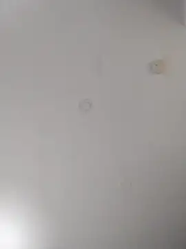 geilerschwanz64 online show from September 22, 2025, 7:05 pm