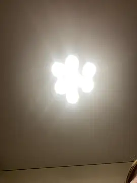 Snapshot of Janet_Welder chatting on December 16, 2024, 7:37 am Janet Welder online show from December 16, 2024, 7:37 am