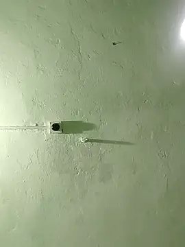 Snapshot of RADHAHO chatting on October 29, 2025, 8:32 pm RADHAHO online show from October 29, 2025, 8:32 pm