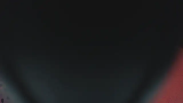 SashaBrianna99 online show from February 23, 2025, 10:09 pm