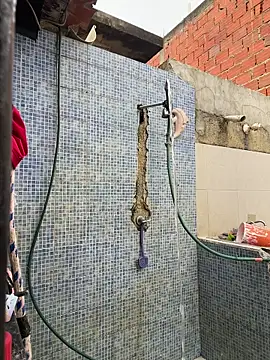 Leo bunny hot online show from November 30, 2025, 8:46 pm