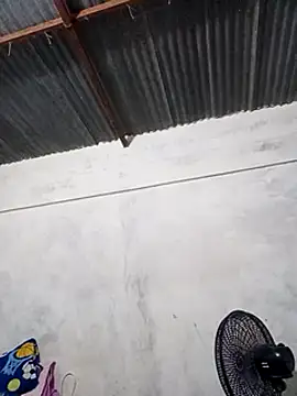 sahira yasin online show from February 1, 2025, 1:34 am