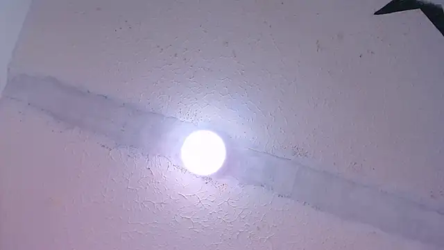 anto love  online show from January 19, 2025, 12:49 am