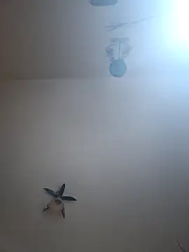 vulpe8400 online show from April 7, 2026, 10:31 pm