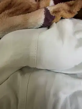 Snapshot of hamed-697 chatting on December 4, 2024, 9:57 pm hamed-697 online show from December 4, 2024, 9:57 pm