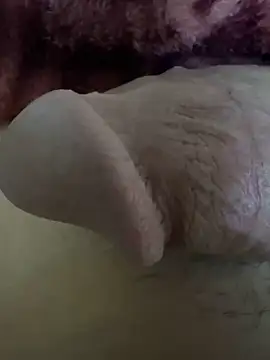 Snapshot of hamed-697 chatting on December 6, 2024, 7:12 pm hamed-697 online show from December 6, 2024, 7:12 pm