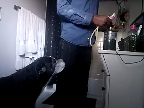 DevinToore online show from October 31, 2025, 10:33 pm