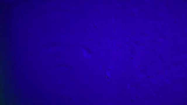 Snapshot of GymBoyVan chatting on February 4, 2026, 4:07 am GymBoyVan online show from February 4, 2026, 4:07 am