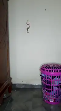 Snapshot of SuranSexy33 chatting on February 24, 2025, 5:00 am SuranSexy33 online show from February 24, 2025, 5:00 am