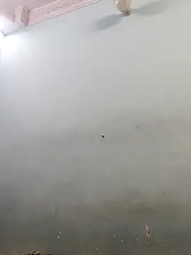 Sania-Love online show from February 1, 2026, 9:46 pm