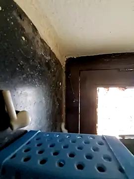 hot telugu dickK07 online show from December 10, 2024, 7:37 am