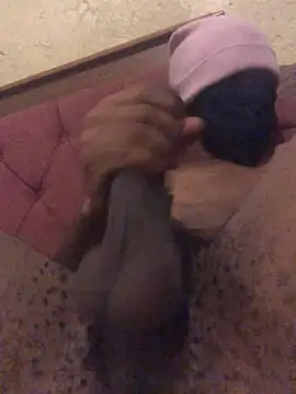 Snapshot of the_bigwc chatting on December 7, 2024, 2:20 am the bigwc online show from December 7, 2024, 2:20 am