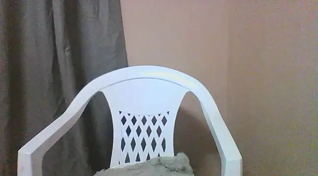 Moniva24 online show from March 11, 2025, 1:16 am