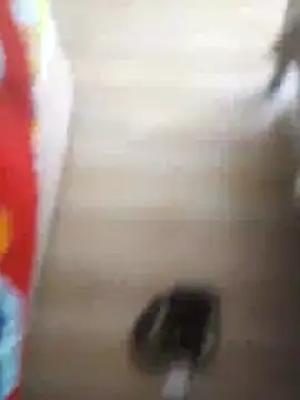 Snapshot of 510915asi chatting on December 20, 2025, 12:01 pm 510915asi online show from December 20, 2025, 12:01 pm