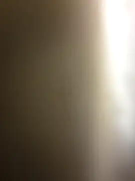 dosynophia2 online show from December 17, 2025, 1:22 am