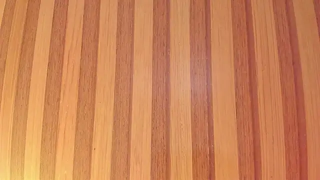 Taylor  cooper online show from February 27, 2026, 6:41 pm