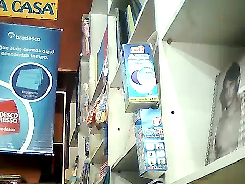 barboza991 online show from January 14, 2025, 5:34 pm