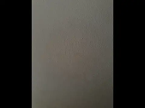 cretanbi online show from November 21, 2025, 12:48 pm