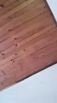 DANIELA MICHEL online show from January 19, 2025, 8:41 pm