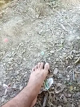 Snapshot of Misbion chatting on November 18, 2025, 9:47 am Misbion online show from November 18, 2025, 9:47 am