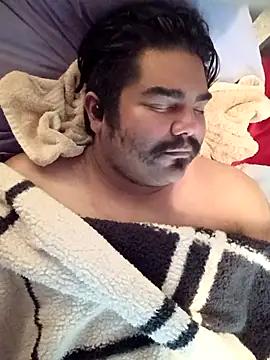 Snapshot of Brickstash chatting on October 24, 2025, 4:36 pm Brickstash online show from October 24, 2025, 4:36 pm