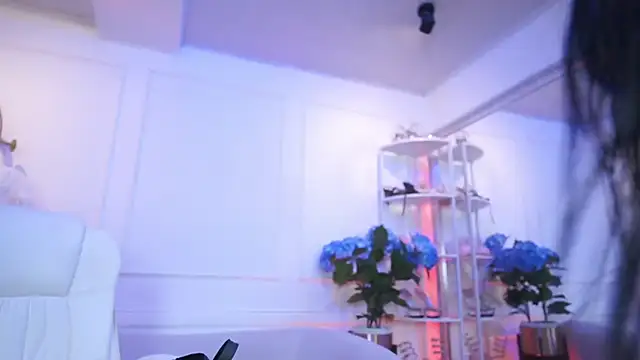 elasummer online show from February 13, 2026, 12:34 pm