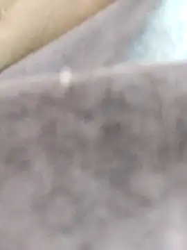 Snapshot of dahana0 chatting on March 12, 2025, 12:36 pm dahana0 online show from March 12, 2025, 12:36 pm