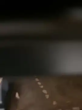 Snapshot of evoscenteno chatting on December 30, 2024, 12:32 am evoscenteno online show from December 30, 2024, 12:32 am