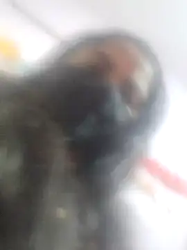 Snapshot of sana14 chatting on February 27, 2025, 3:04 am sana14 online show from February 27, 2025, 3:04 am