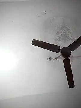 sana14 online show from December 19, 2025, 7:04 am