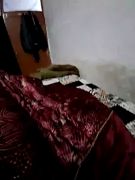 Snapshot of menakshiiikaur chatting on December 13, 2024, 2:16 pm menakshiiikaur online show from December 13, 2024, 2:16 pm