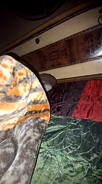 Snapshot of menakshiiikaur chatting on March 11, 2025, 5:35 pm menakshiiikaur online show from March 11, 2025, 5:35 pm