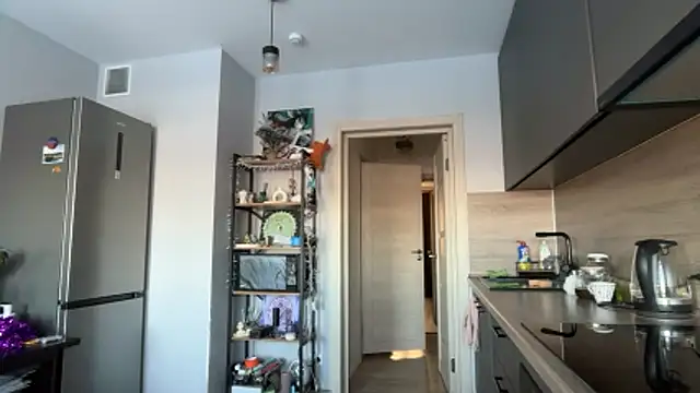 jainesummer online show from February 3, 2026, 8:08 am