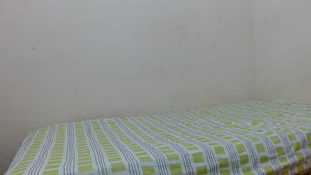 Evanhotx online show from January 6, 2026, 8:45 pm