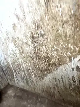 tamil000000 online show from January 17, 2026, 10:31 am