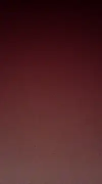 Sexy-Mona2 online show from December 13, 2024, 12:06 pm