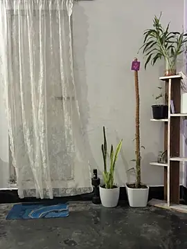 mikemacluffy online show from September 25, 2025, 4:00 pm