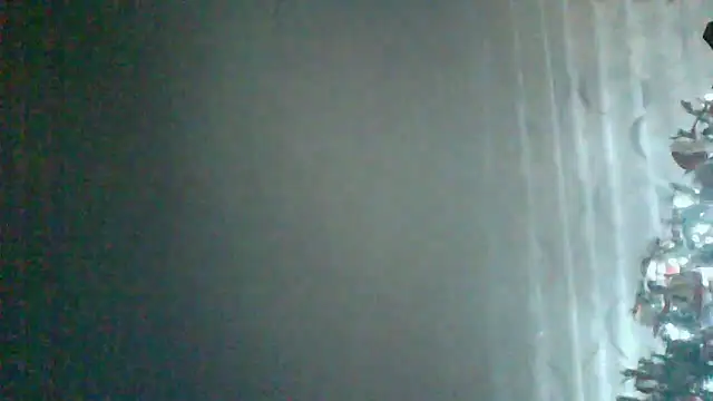 Snapshot of HardWolf2024 chatting on December 24, 2024, 12:11 am HardWolf2024 online show from December 24, 2024, 12:11 am