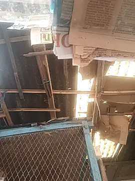 Snapshot of Skinny_Bigass_23 chatting on December 1, 2025, 7:57 am Skinny Bigass 23 online show from December 1, 2025, 7:57 am