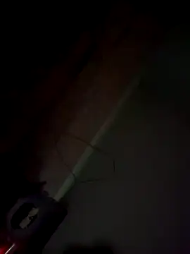 imissyoumylove14 online show from January 21, 2025, 7:47 am