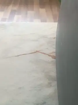 imissyoumylove14 online show from March 29, 2026, 6:57 am