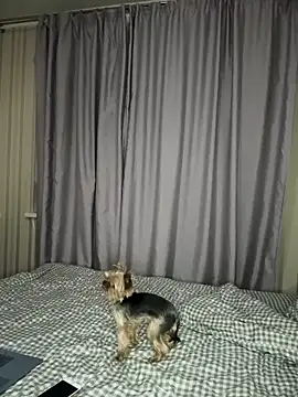 Snapshot of Cute_Barbieee_ chatting on December 6, 2024, 10:08 pm Cute Barbieee online show from December 6, 2024, 10:08 pm