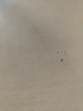 Snapshot of shale26 chatting on September 28, 2025, 7:36 am shale26 online show from September 28, 2025, 7:36 am