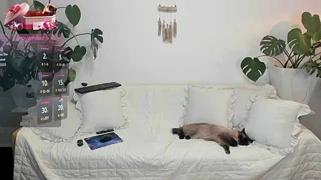 Amie Hill online show from February 16, 2026, 7:37 am