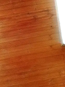 Darly Gomez online show from March 1, 2025, 4:00 pm