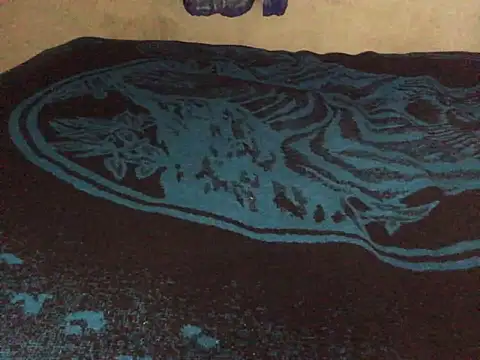 Snapshot of manuamador chatting on March 20, 2025, 4:18 am manuamador online show from March 20, 2025, 4:18 am