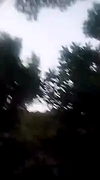 Snapshot of Danna-linyi chatting on December 20, 2024, 11:37 pm Danna-linyi online show from December 20, 2024, 11:37 pm