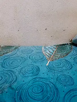 Linda-53 online show from March 27, 2026, 8:30 pm