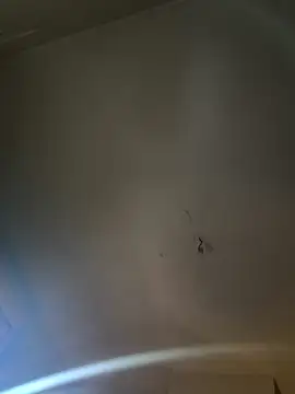 Jiimy2fois online show from March 6, 2026, 9:39 am